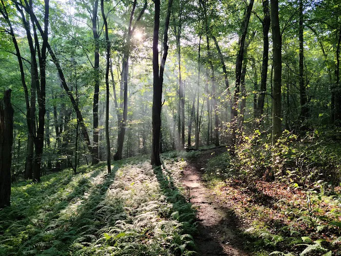 Friends of the Franc Preserve Picture 4