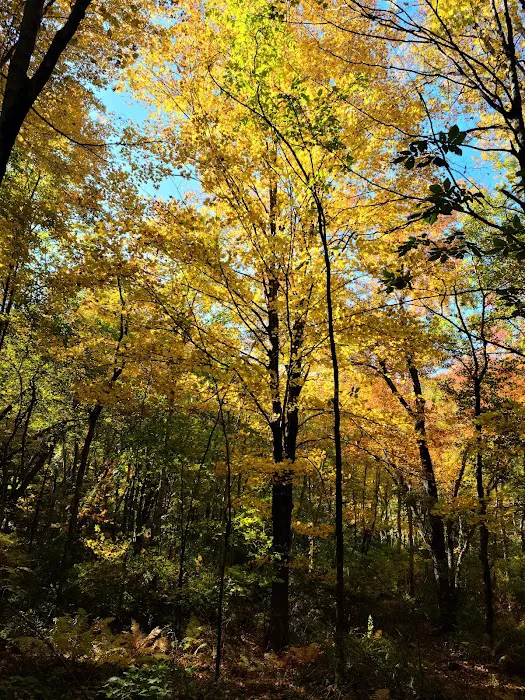 Friends of the Franc Preserve Picture 5