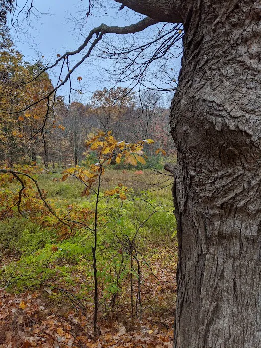 Friends of the Franc Preserve Picture 3