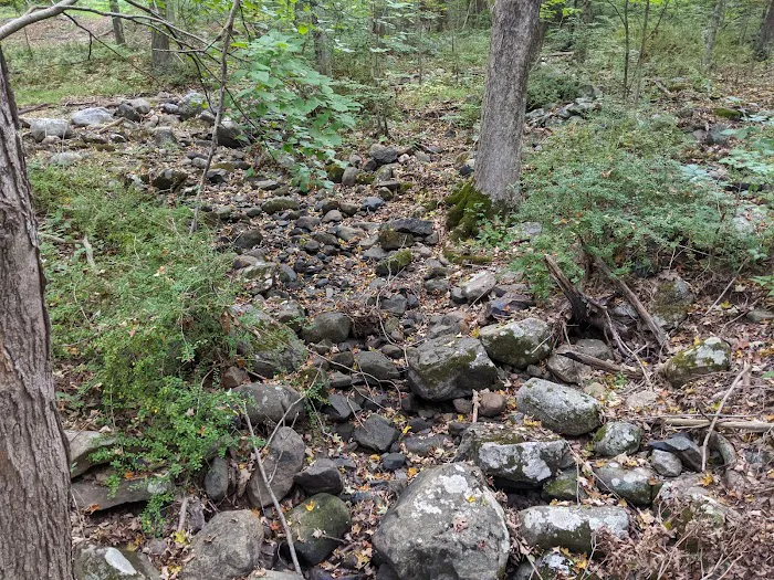 Friends of the Franc Preserve Picture 10