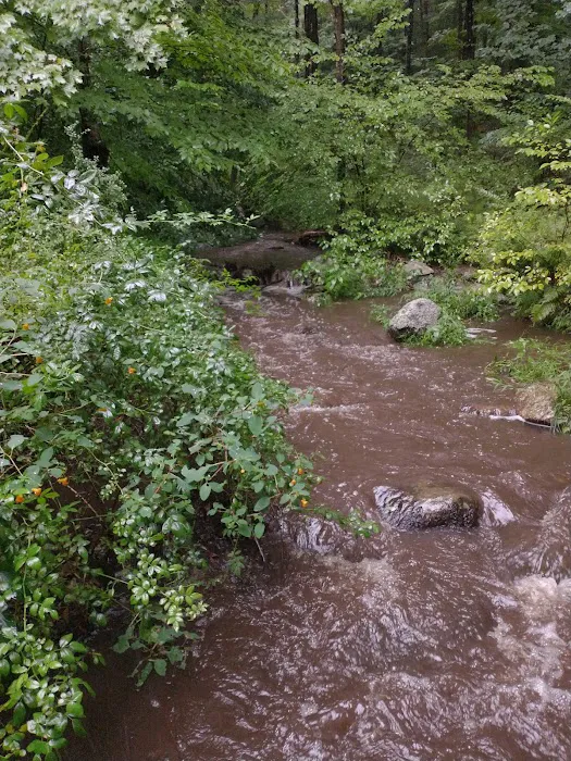 Friends of the Franc Preserve Picture 8