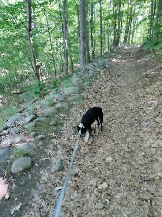 Friends of the Franc Preserve Picture 1