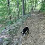 Friends of the Franc Preserve