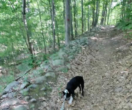 Friends of the Franc Preserve