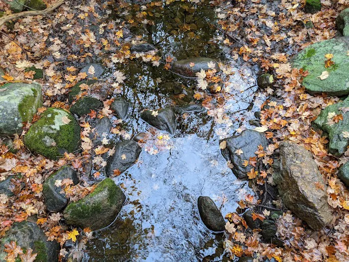 Friends of the Franc Preserve Picture 7