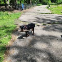 Veterans Memorial Park ico