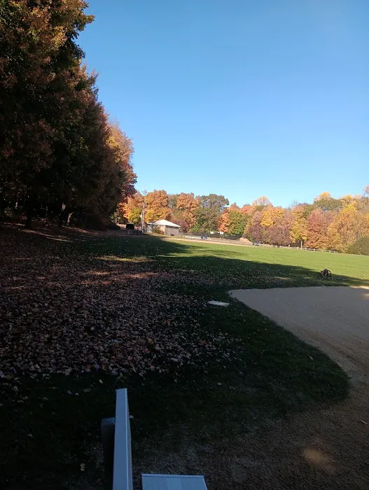 Island Brook Park Picture 4