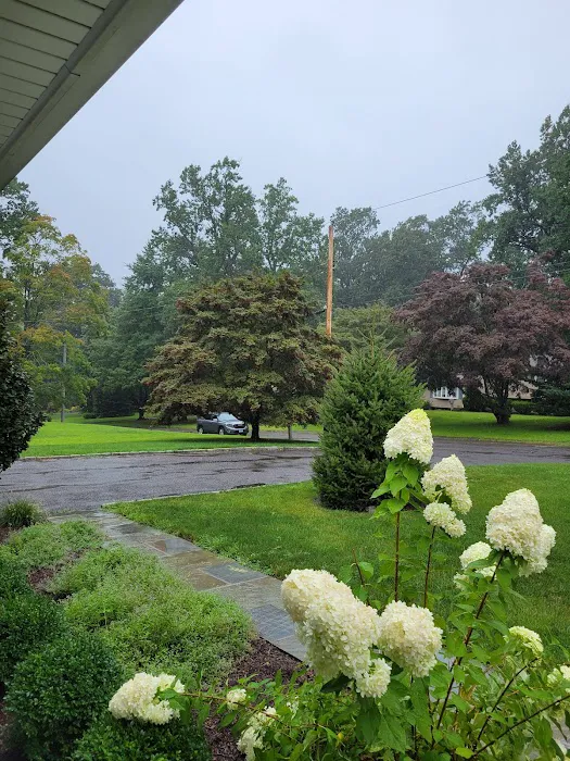 Island Brook Park Picture 9