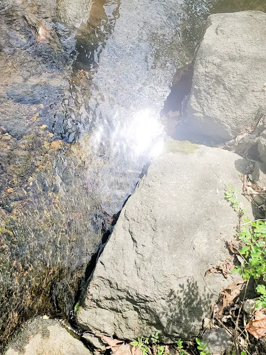 Lt Owen Fish Park Picture 5