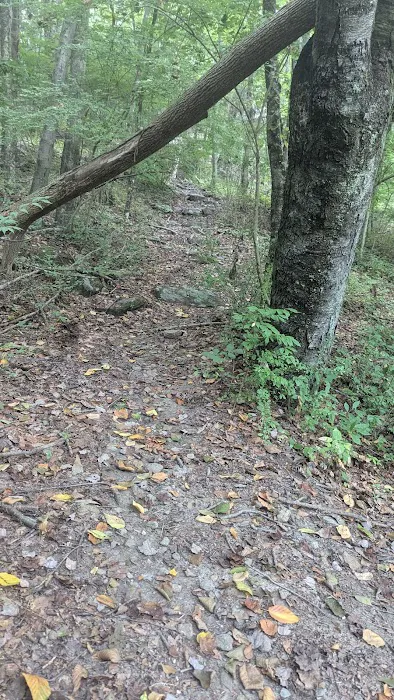 Pequonnock River Valley Park Picture 7