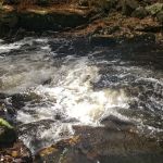 Pequonnock River Valley Park