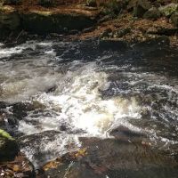 Pequonnock River Valley Park ico