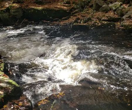 Pequonnock River Valley Park