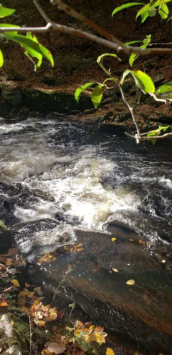 Pequonnock River Valley Park Picture 4