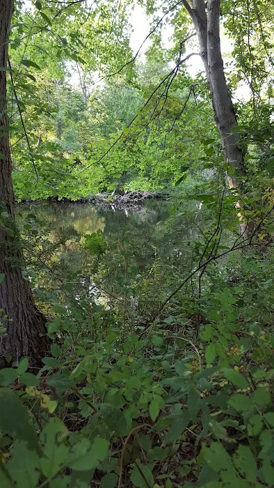 Old Fording Place Picture 10