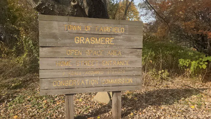 Grasmere Open Space Area Picture 1