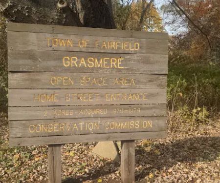 Grasmere Open Space Area