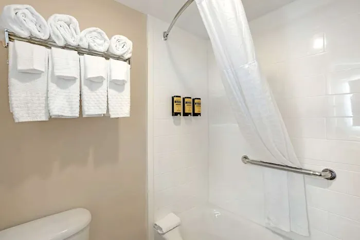 Best Western Plus Fairfield Hotel Picture 4