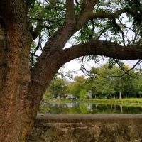 Gould Manor Park ico