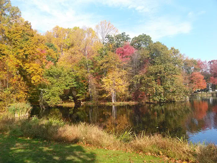 Gould Manor Park Picture 10