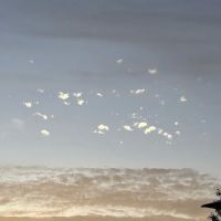 Welch Terrace Marsh Open Space ico