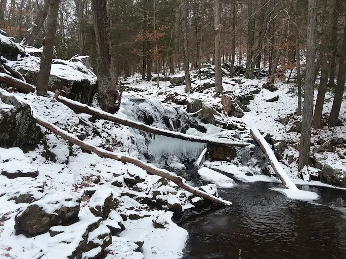 Michael Ciaiola Conservation Area (Parking) Picture 10