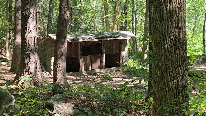 Michael Ciaiola Conservation Area (Parking) Picture 4