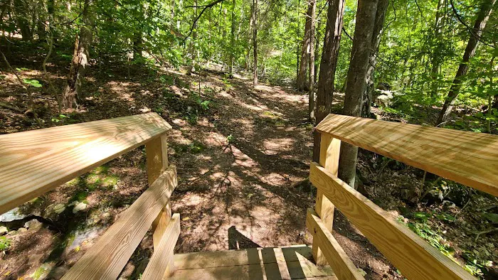Michael Ciaiola Conservation Area (Parking) Picture 3