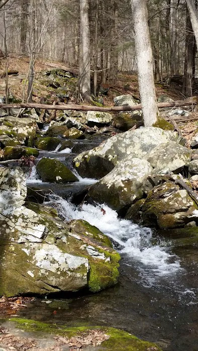 Michael Ciaiola Conservation Area (Parking) Picture 1