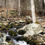 Michael Ciaiola Conservation Area (Parking)