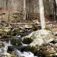 Michael Ciaiola Conservation Area (Parking) ico