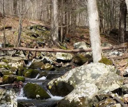 Michael Ciaiola Conservation Area (Parking)