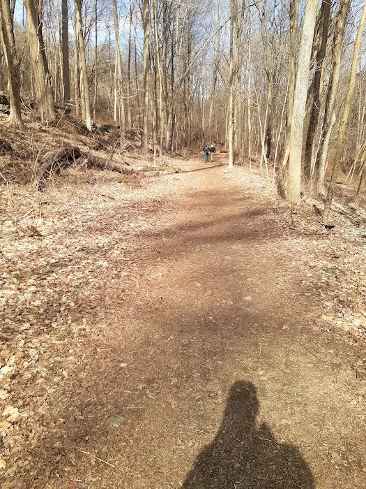 Michael Ciaiola Conservation Area (Parking) Picture 5