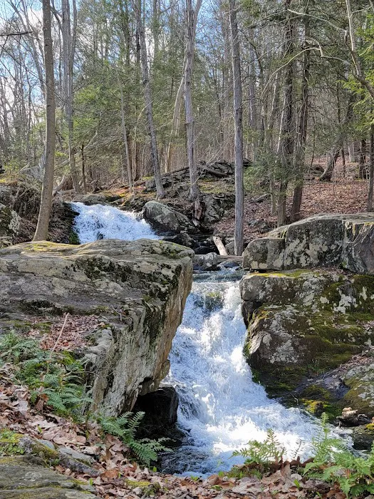 Great Hollow Nature Preserve & Ecological Research Center Picture 1