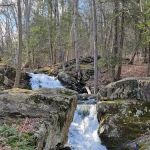 Great Hollow Nature Preserve & Ecological Research Center