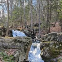Great Hollow Nature Preserve & Ecological Research Center ico