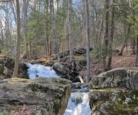 Great Hollow Nature Preserve & Ecological Research Center