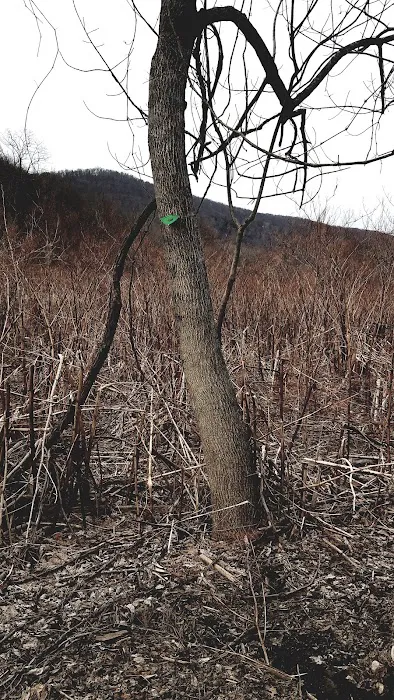 Great Hollow Nature Preserve & Ecological Research Center Picture 8