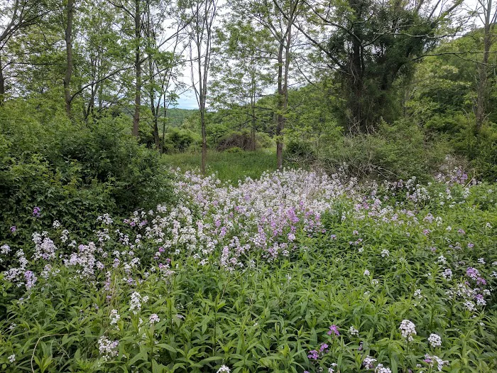 Great Hollow Nature Preserve & Ecological Research Center Picture 9
