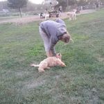 New Fairfield Parks & Rec Department