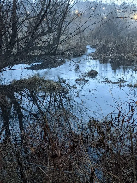 Dunham Pond Picture 3