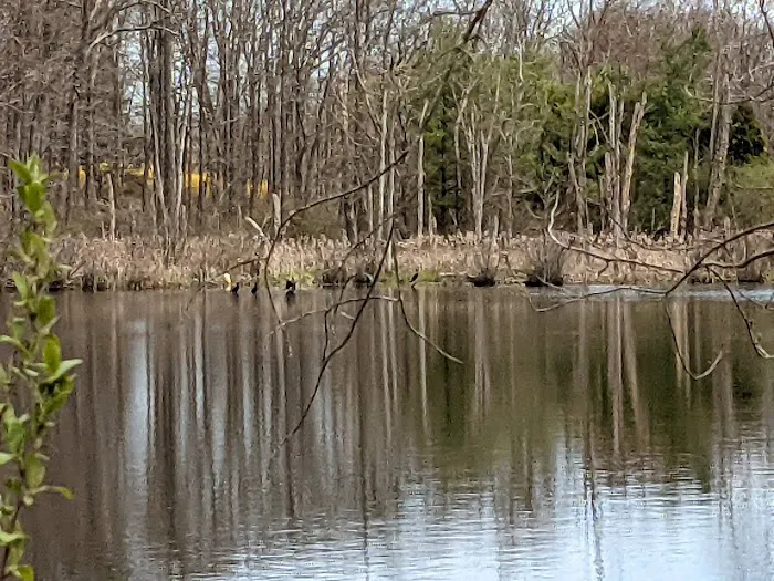 Dunham Pond Picture 6