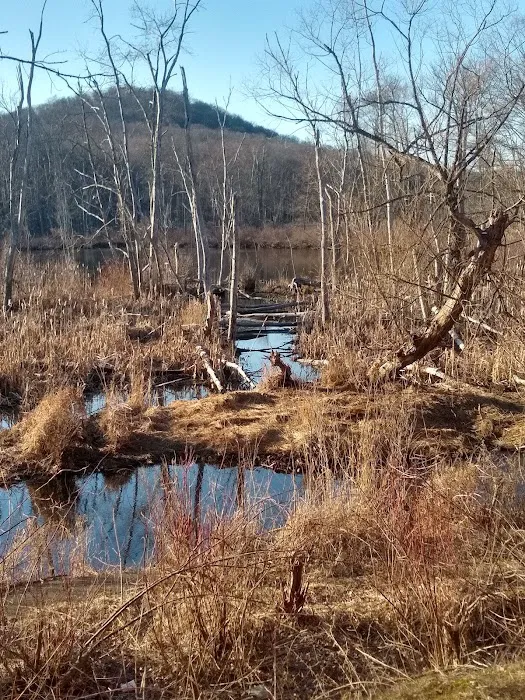 Dunham Pond Picture 9