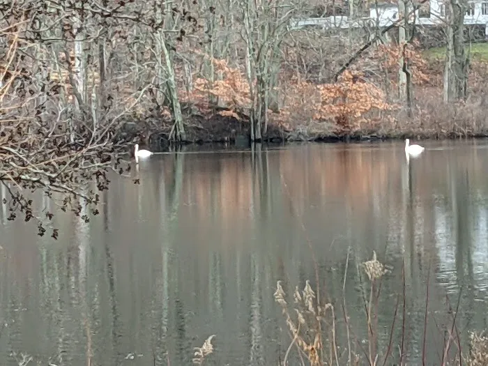 Dunham Pond Picture 2