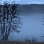 Dunham Pond