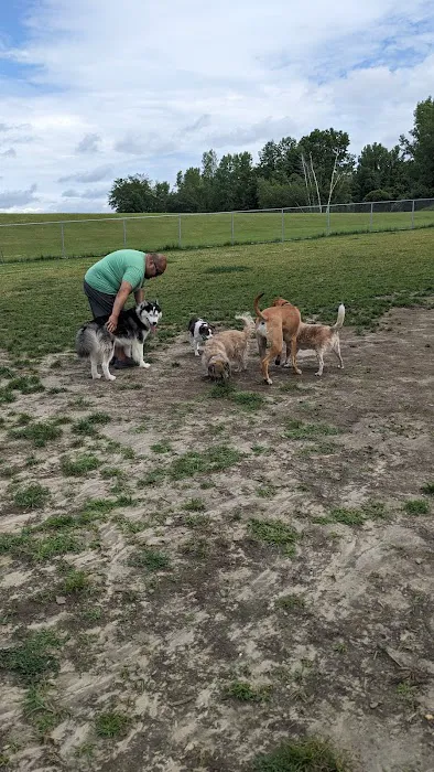 Danbury Dog Park @ Margerie Reservoir Picture 5