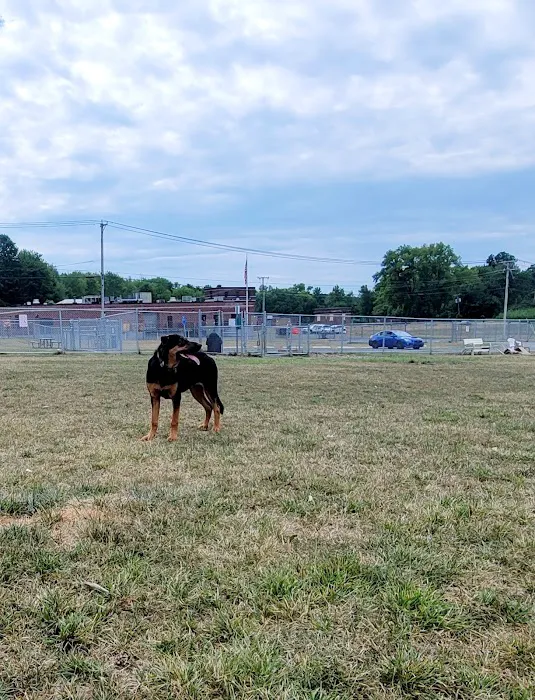 Danbury Dog Park @ Margerie Reservoir Picture 1