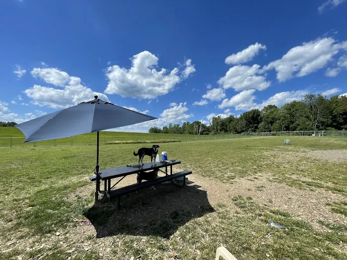 Danbury Dog Park @ Margerie Reservoir Picture 6