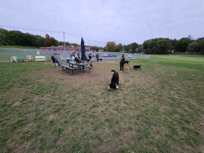 Danbury Dog Park @ Margerie Reservoir Picture 2
