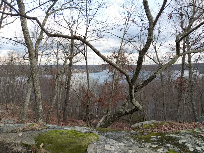 Sweetcake Mountain Lake Reserve Picture 5